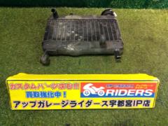 Genuine Honda radiator
NS-1 (late AC 12)