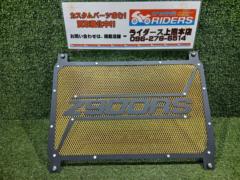 【DIMOTIV/ディモーティブ】 ラジエーターガード Z900RS 18-24年