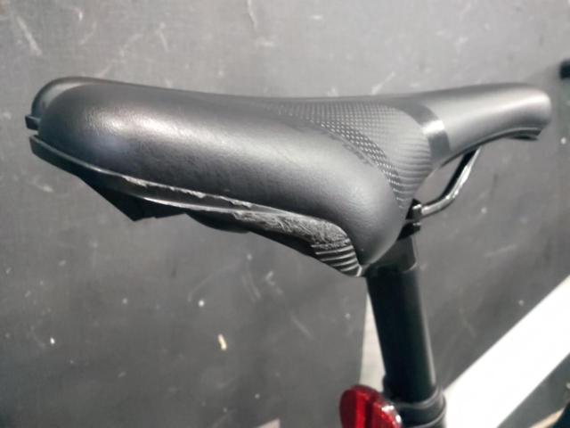 GIANT ESCAPE RX2 DISC LTD 2024 700c 2×9S クロスバイク  スーパーノヴァ サイズ:S 適正身長:160-175cm