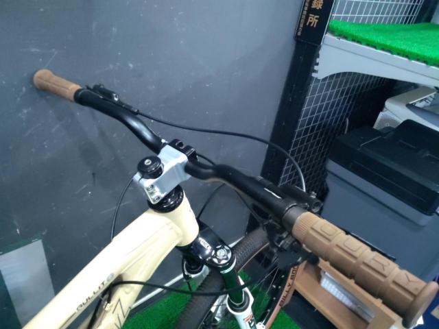 SANTA CRUZ BULLIT 2009年頃? SAINT組 26x2.10インチ 9S MTB ベージュ