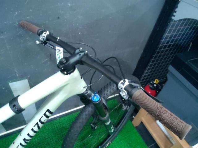 SPECIALIZED Epic Expert EVO 2019年モデル 29インチ SRAM GX EAGLE 12S カーボンMTB グレー