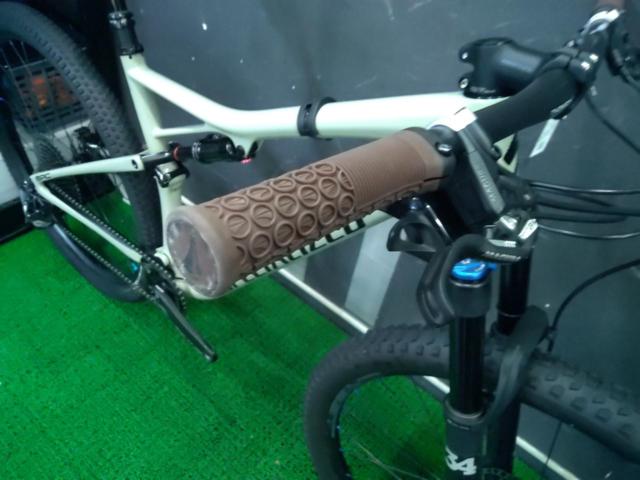 SPECIALIZED Epic Expert EVO 2019年モデル 29インチ SRAM GX EAGLE 12S カーボンMTB グレー