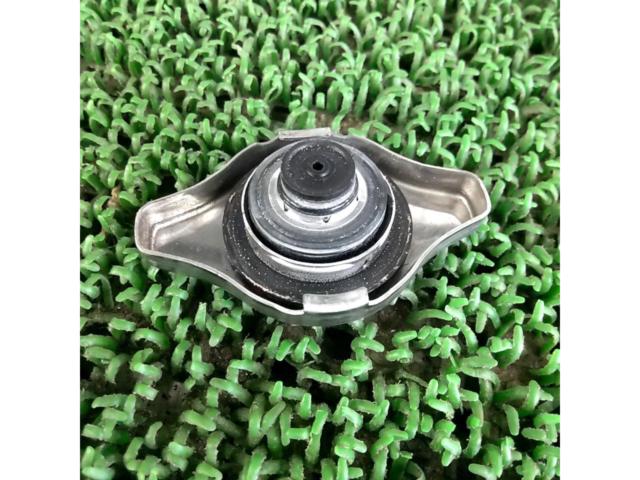 PIAA
Radiator valve
SV55
