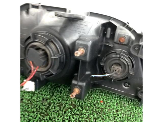 Nissan genuine
Headlight
[Stagea / C34]