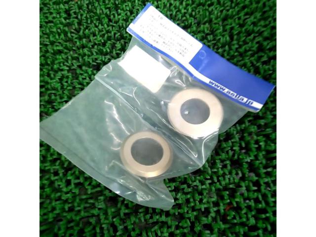 AELLA
Rear axle color for Daytona 675 (all model years)