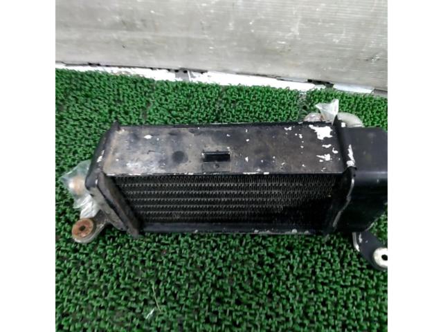 HONDA
Genuine radiator
MTX50R (AD06)