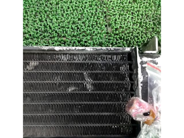 HONDA
Genuine radiator
MTX50R (AD06)