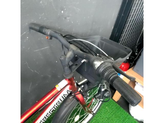 ダイワサイクル スペクトラム 20インチ 外装6段変速 キッズサイクル レッド