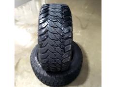 MONSTA MUD WARRIOR 2本のみ