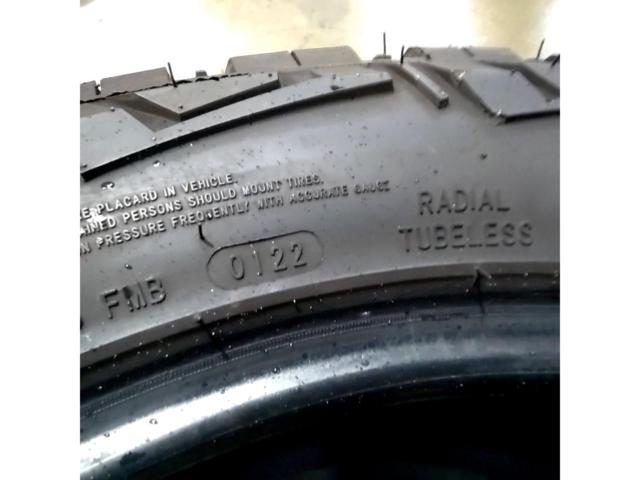 MONSTA MUD WARRIOR 2本のみ