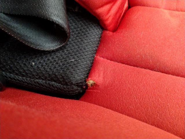 RECARO
Zero One
Select
Coral red
RC6305.21546.07
Child seat