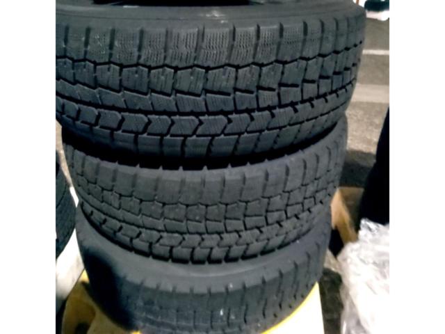 Lehrmeister ESTROSA+DUNLOP WINTER MAXX WM02