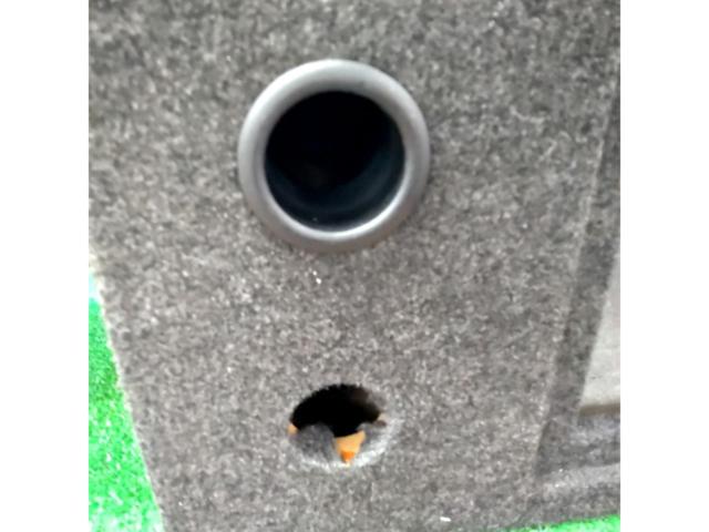 Fusion
8 inches woofer
With BOX
2 shot