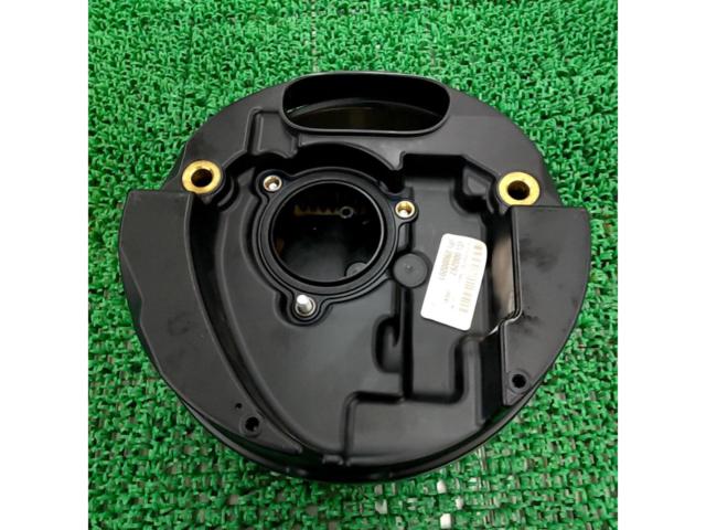 45 Harley-Davidson Genuine Air Cleaner
FXDL
Lowrider