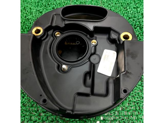 45 Harley-Davidson Genuine Air Cleaner
FXDL
Lowrider