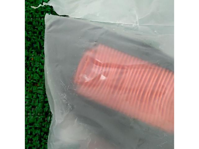 Genuine Yamaha air cleaner filter
Signas X
SE12-44)