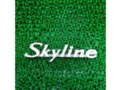 NISSAN 『Skyline』エンブレム