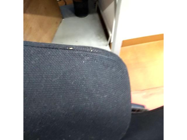 RECARO SR3 ルマンカラー