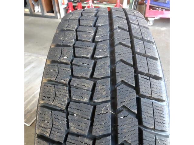 Violento+DUNLOP WINTERMAXX WM03