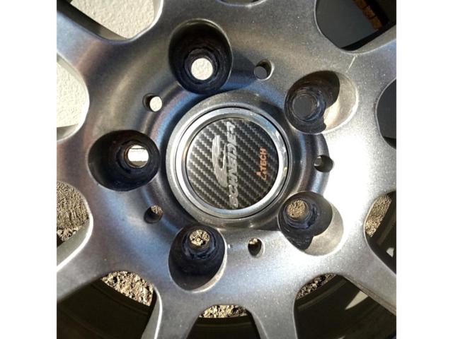 A-TECH SCHNEIDER Stag