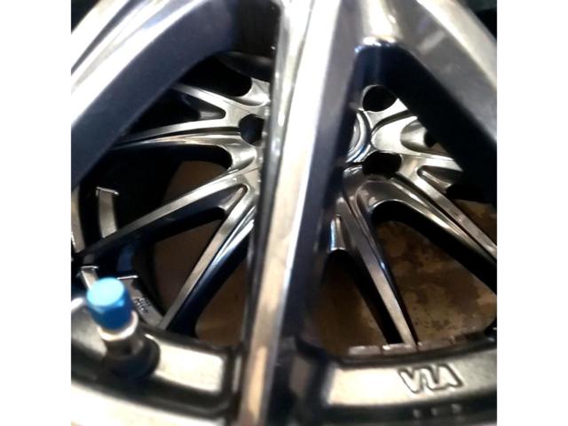 weds VELVA
SPORT