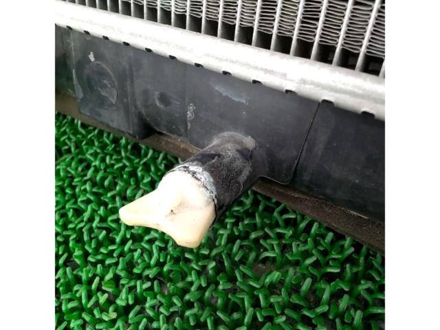SUZUKI
Swift Sport / ZC32S
Genuine radiator
