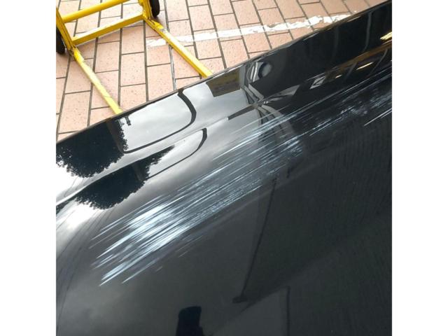 Terzo ルーフボックス ブラック