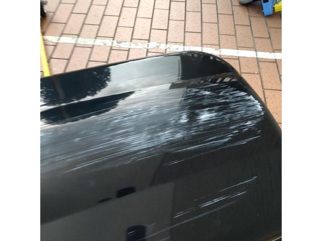 Terzo ルーフボックス ブラック