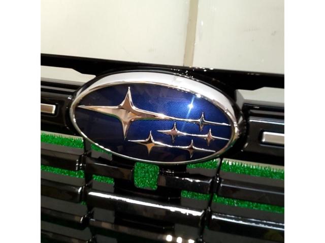 Genuine grille for Levorg VNF series
Layback