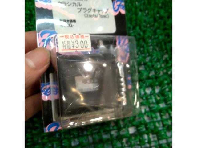 【小物コーナー】メーカー不明 クラシカルプラグキャップ 880010