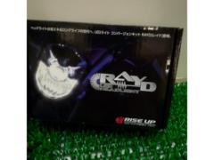RAYD RISE UP  LED バルブ ホワイト