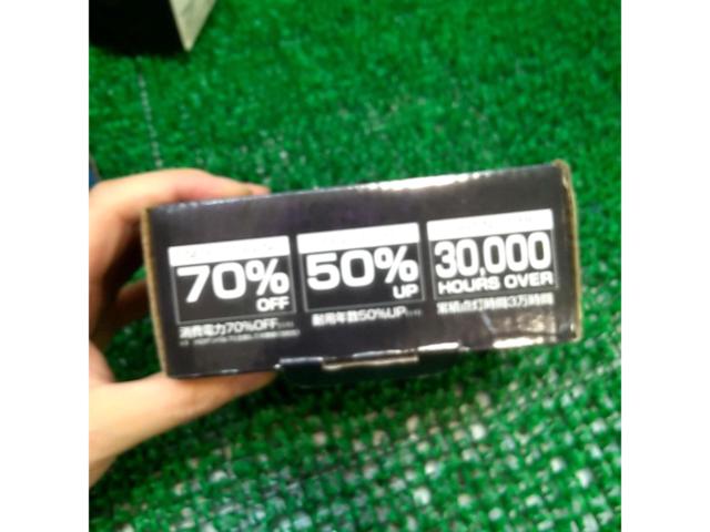 RAYD RISE UP  LED バルブ ホワイト