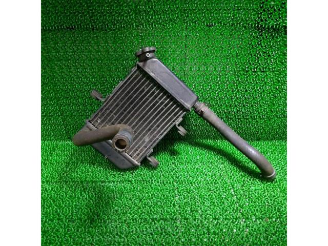 Genuine radiator for RZ50