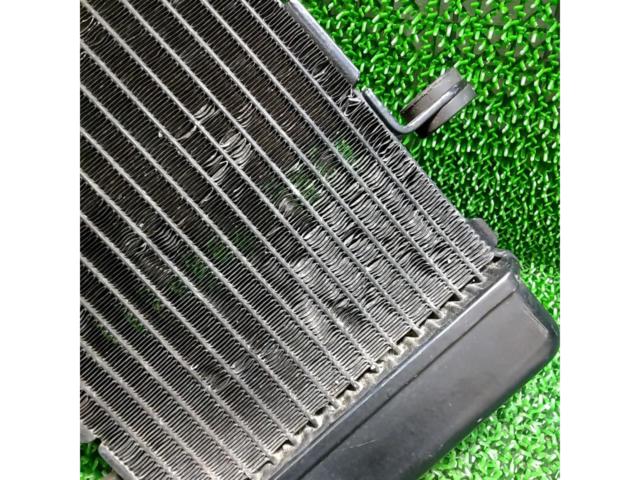 Genuine radiator for RZ50