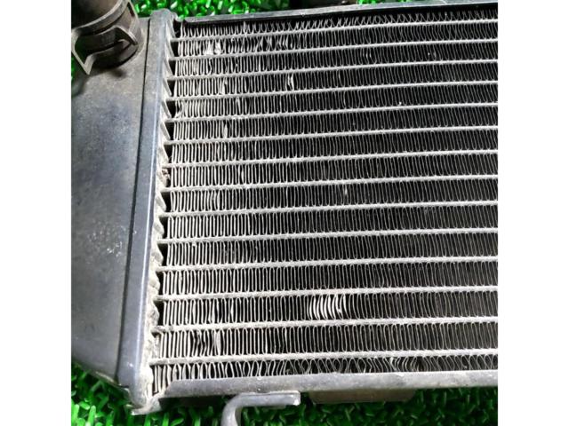 Genuine radiator for RZ50