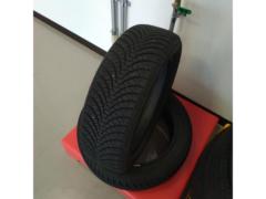 【タイヤのみ2本】DUNLOP ALLSEASONMAXX AS1
