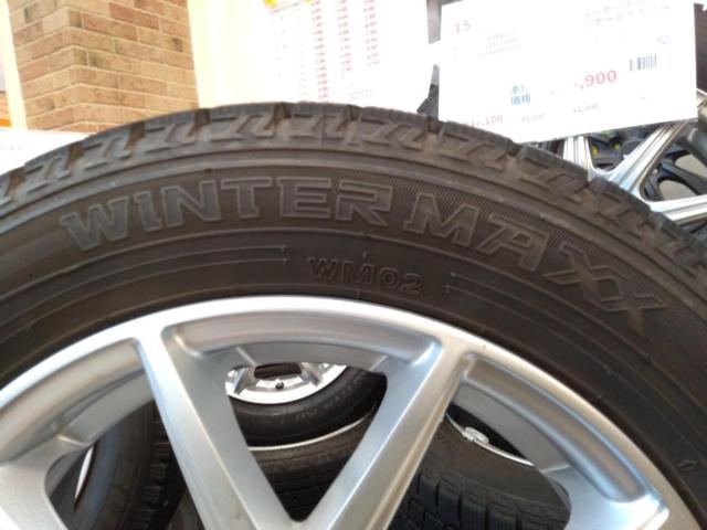 SPORT DAISY+DUNLOP WINTERMAXX WM02