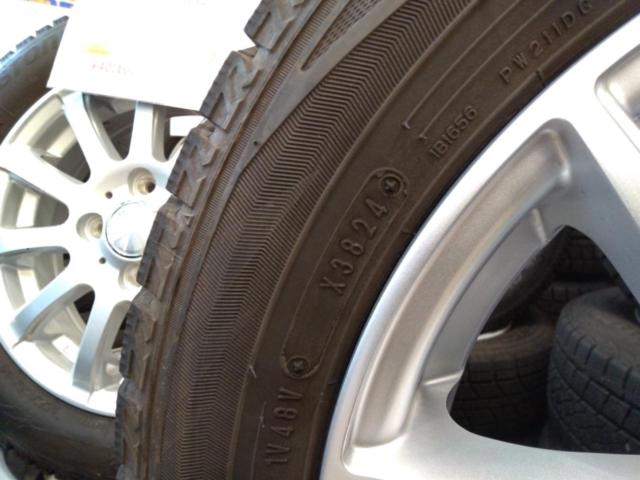 SPORT DAISY+DUNLOP WINTERMAXX WM02