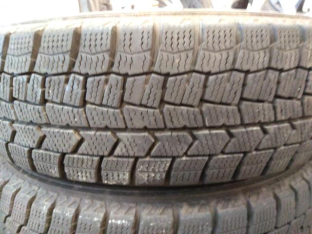 SPORT DAISY+DUNLOP WINTERMAXX WM02