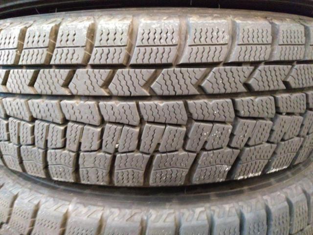 SPORT DAISY+DUNLOP WINTERMAXX WM02