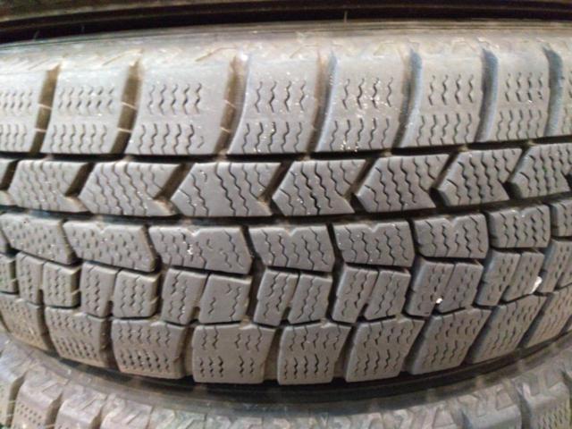 SPORT DAISY+DUNLOP WINTERMAXX WM02