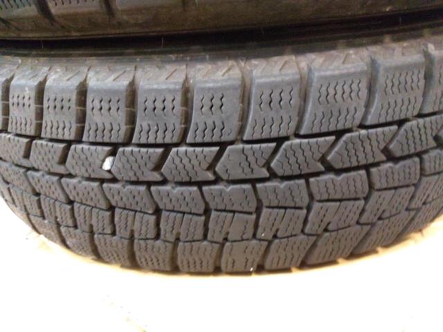 SPORT DAISY+DUNLOP WINTERMAXX WM02