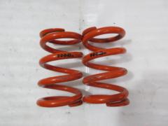 MAQs 直巻きスプリング (Z09820)