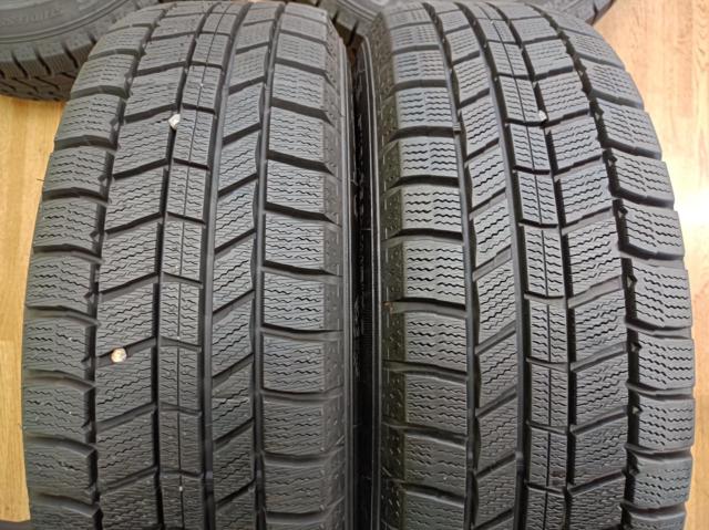 Fang 10本スポーク + AUTOBACS NorthTrek N5 84Q