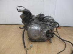 YAMAHA(ヤマハ) TZM50R 純正 エンジン