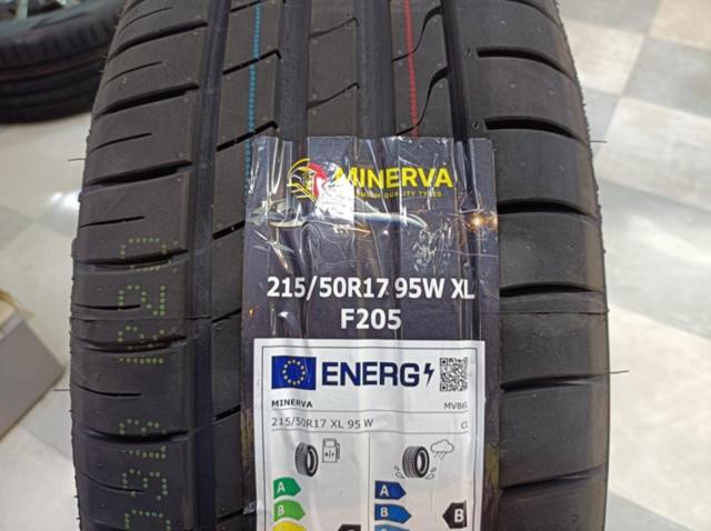 BRIDGESTONE BALMINUM AR12 + MINERVA F205