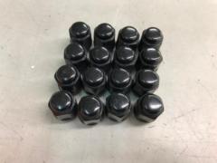 WePro
Black nut
P1.5
16