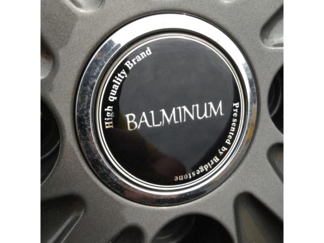 BRIDGESTONE BALMINUM A12+DUNLOP WINTER MAXX WM02