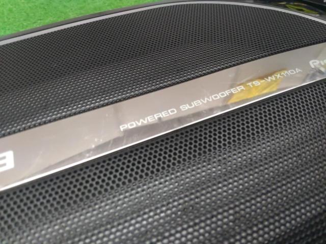 carrozzeria TS-WX110A
