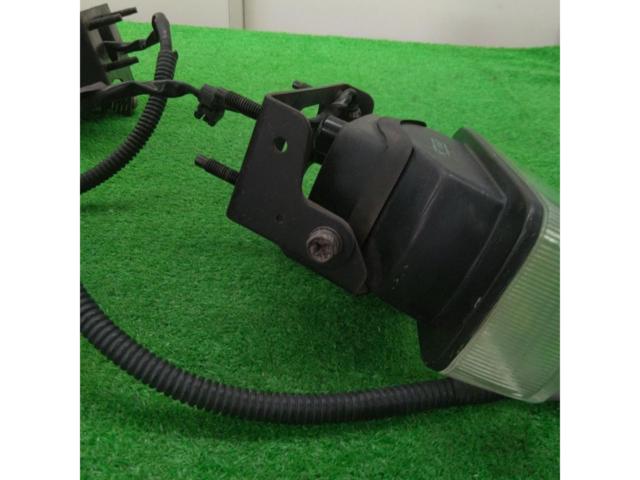 IPF フォグランプ